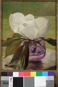 マグノリアの花 作： John La Farge or Lafarge