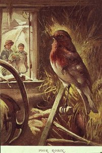 ポール・ローソン著「Childhood Valley」のイラスト「Poor Robin」。 作： John Lawson