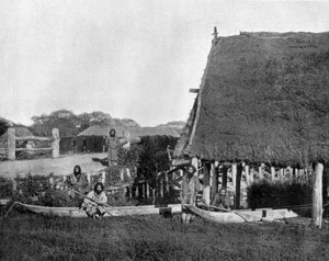 日本のジェッソ島の先住民 アボリジニの写真 ジョン・ローソン・ストッダード（1850年 1931年） 旅人・会議人 チカゴの教育出版物（モノクロ写真
