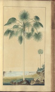 「ジャマイカの遺産」からのページ、427 作： John Lindsay