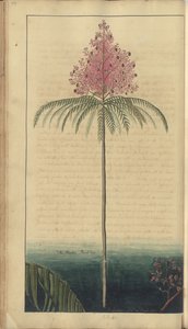 「ジャマイカの遺産」からのページ、99 作： John Lindsay