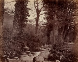無題、1859年頃 作： John Lloyd