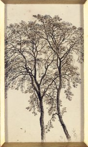 木の研究 作： John MacWhirter
