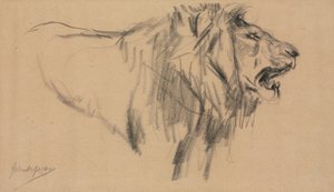 ライオン 作： John Macallan Swan