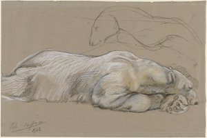 横たわるホッキョクグマの研究 作： John Macallan Swan