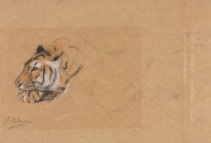 虎 作： John Macallan Swan
