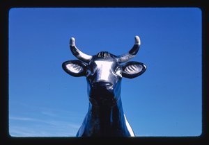 牛のおしゃべりベル像の詳細、チーズ・ギフト・ショップ、ニールズビル、ウィスコンシン州、アメリカ 作： ジョン・マーゴリーズ