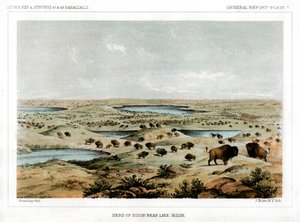 1856年、米国ノースダコタ州ジェシー湖近くのバイソンの群れ。