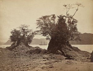 リモン湾の島々、1871 年。 作： John Moran