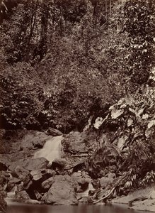 熱帯の風景、カスケード、リモン川、1871 年。 作： John Moran