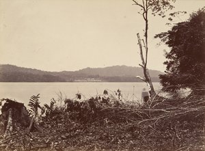 熱帯の風景、ダリエン港、チピガーナ、1871年 作： John Moran