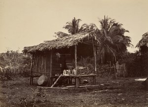 熱帯の風景、ネイティブ ハット、ターボ、1871 年。 作： John Moran