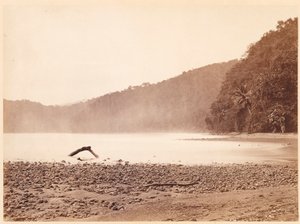 熱帯の風景：運河建設予定地の終点、リモン湾（ダリエン探検隊） 作： John Moran