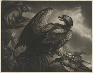 鷲と狐 作： John Murphy after James Northcote