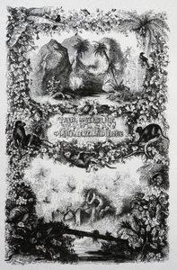 ポールとヴァージニア、1860-1870年頃（エングレーヴィング） 作： John Orrin Smith