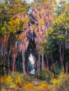 Hanging Moss, São Petersburgo (óleo sobre tela) 作： John Otis Adams