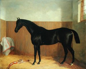 トミー《馬の肖像》1870年代頃（油彩・キャンバス 作： John Paul