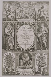 ジョンジェラード（1564-1612）1633によるThe Herballの第2版のタイトルページ 作： John Payne