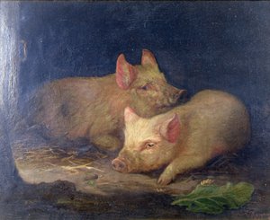 インテリアの中の2匹の賞豚 作： John Rabone Harvey