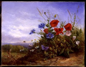 土手に咲く野の花 作： John Rees