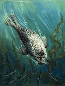 海の友アザラシ