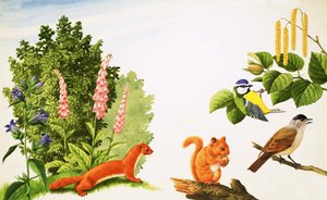 ヘイゼルの木