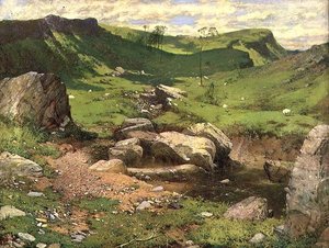 山岳風景の中にある岩の多い沢