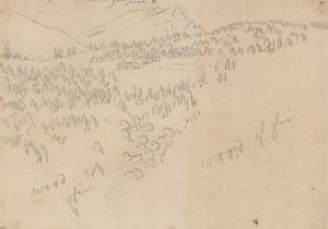 Entre Innsbruck e Schoenberg 作： John Robert Cozens