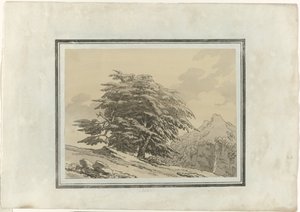 シダー 作： John Robert Cozens