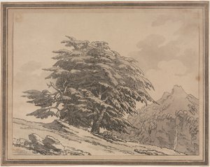 森の木の一般的な特性の枝分かれと群葉の描写：杉、1789年。 作： John Robert Cozens