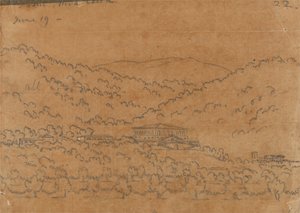 ミラベラより 6月19日