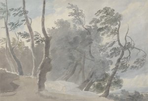 Galleria di Sopra、Albano（グラファイトと紙にw - c） 作： John Robert Cozens