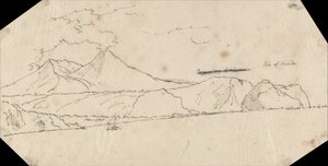 ニシダ島 作： ジョン・ロバート・コーズ