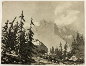 山の松