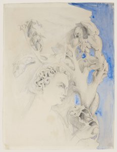 ヴェネツィア、ドゥカーレ宮殿のファサード-アダムの頭部 1845年頃 （紙に水彩、鉛筆画） 作： John Ruskin