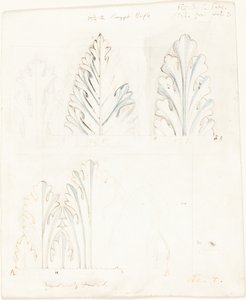 「ベニスの石」のためのアカンサスモチーフの装飾習作 作： John Ruskin