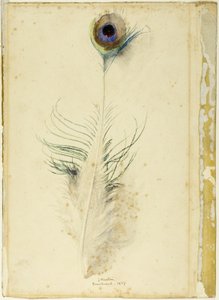 孔雀の羽 作： John Ruskin