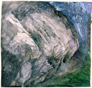 Chamouni、1854年の岩と植生