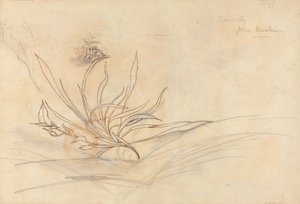 岩だらけの川岸 作： John Ruskin