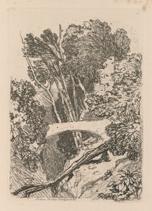 研究は無料です。Plate11 Parsons Bridge Cardingshire、1838。 作： John Sell Cotman