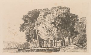 Liber Studiorum: プレート 3、トゥイッケナム近くの木 作： John Sell Cotman