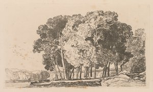 研究は、トゥイッケナム、1838年の近くの無料のプレート3ツリーです。 作： John Sell Cotman
