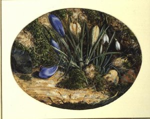 クロッカスとスノードロップ 作： John Sherrin