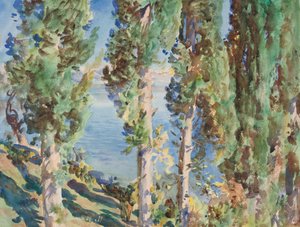  作： John Singer Sargent