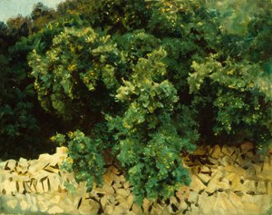 イレックスの木、マヨルカ島 作： John Singer Sargent