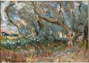 風景、コルフ、1909 作： John Singer Sargent