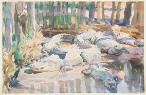 マディアリゲーター、1917年（紙のグラファイトの上にトイレ） 作： John Singer Sargent