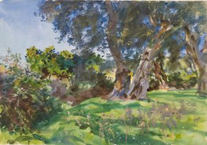 オリーブの木、コルフ 作： John Singer Sargent