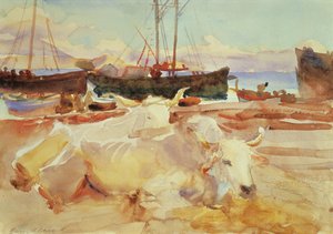 バイアのビーチでの牛、1908年頃（紙にトイレ） 作： John Singer Sargent