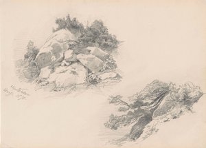 Rocks and Brush、ヒンターゼー、ドイツ、1871年（woverペーパー上のグラファイト） 作： John Singer Sargent